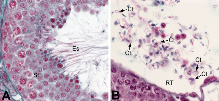 FIGURE 7.