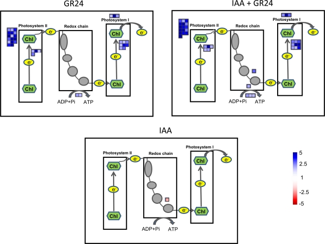 Fig. 2.