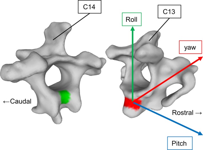 Figure 2