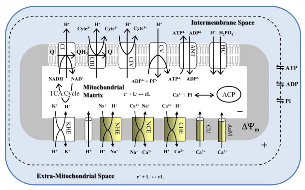 Fig. 1