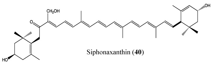 Figure 25