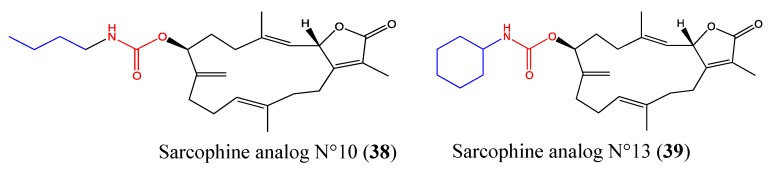 Figure 24