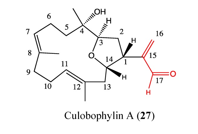 Figure 20