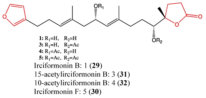 Figure 22