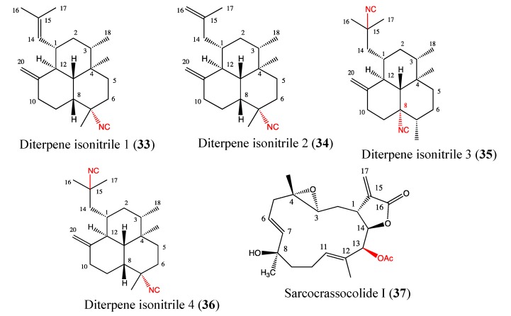 Figure 23