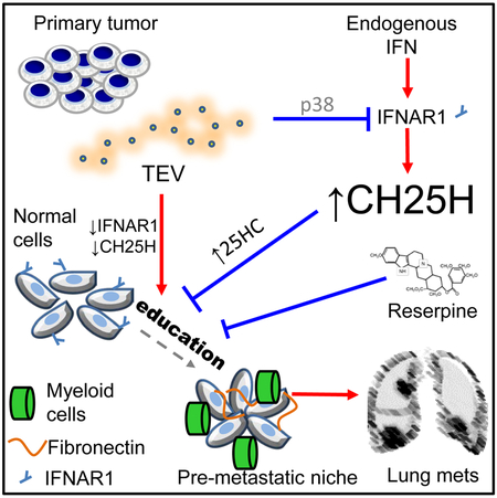 graphic file with name nihms-1515899-f0001.jpg