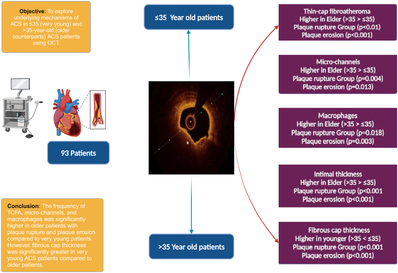 Graphical abstract