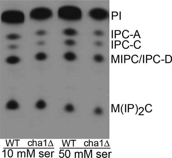 FIGURE 4.