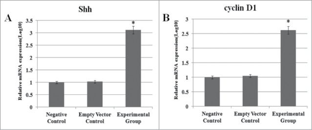 Figure 6.