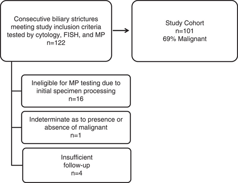 FIGURE 1