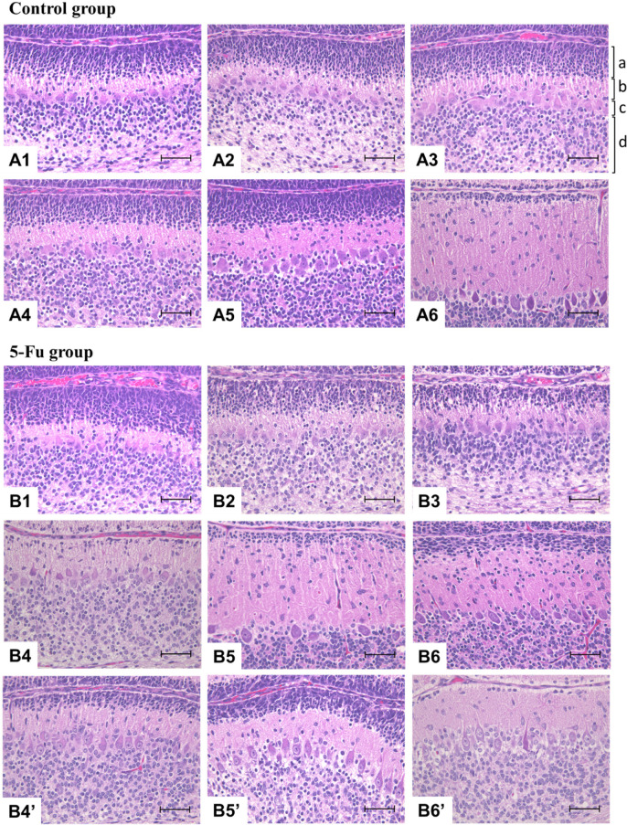 Fig. 4.