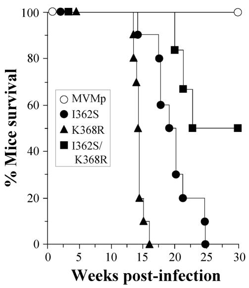 FIG. 5.