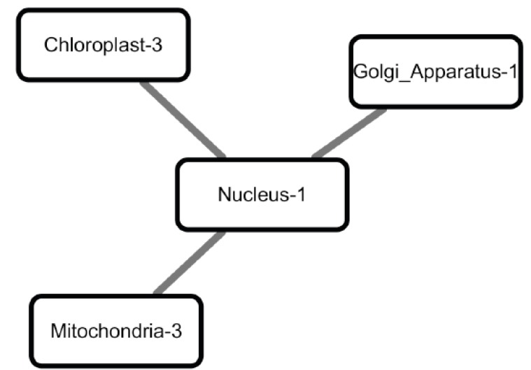 Fig. (7)