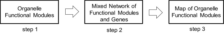 Fig. (1)