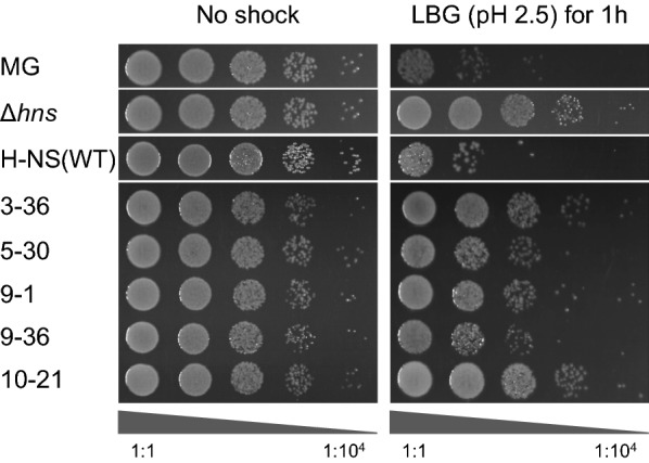 Fig. 2