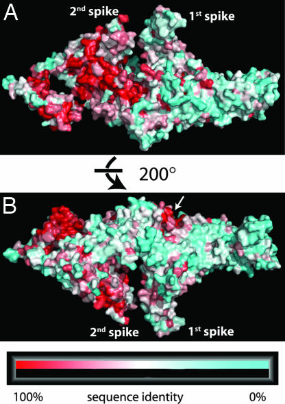 Fig. 5.