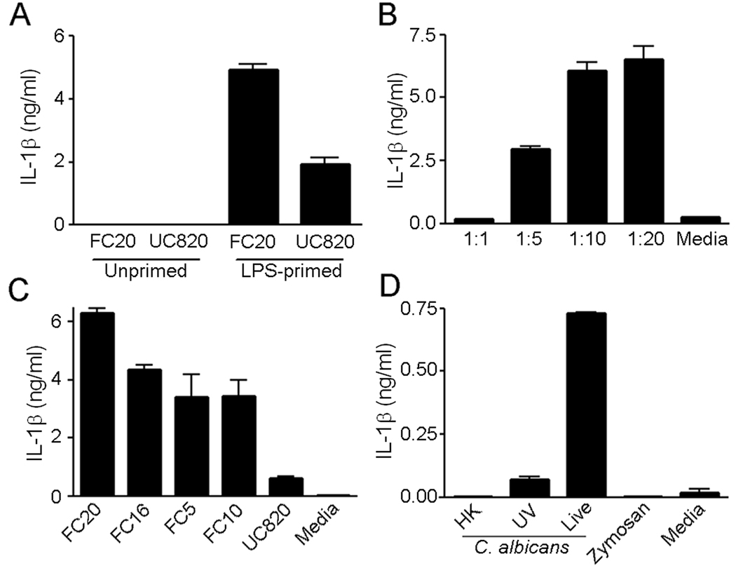 FIGURE 1