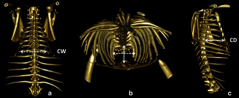 Fig. 1