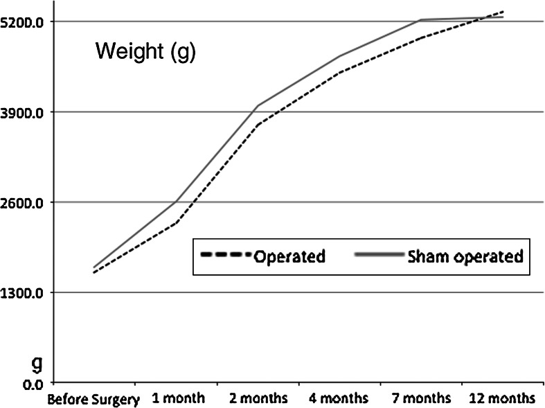 Fig. 4