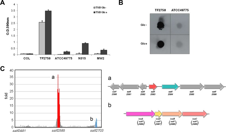 FIG 1 