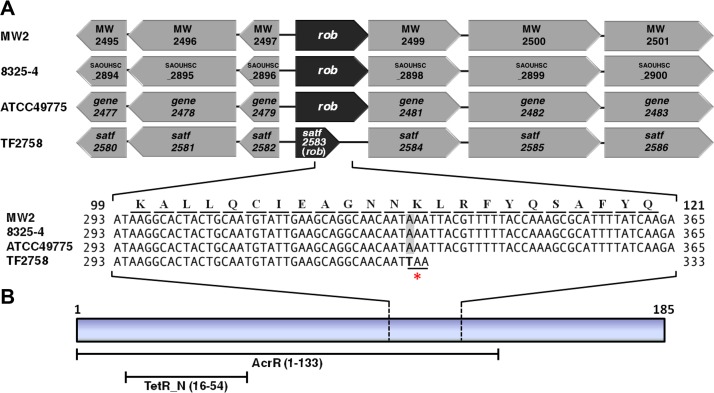 FIG 2 