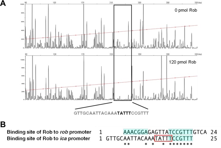 FIG 9 