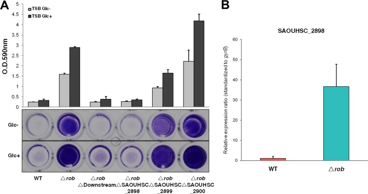 FIG 6 