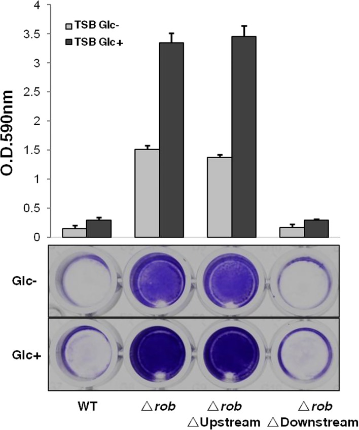 FIG 5 