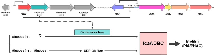 FIG 10 