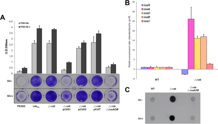 FIG 4 