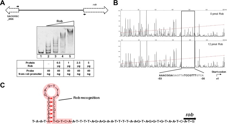 FIG 7 