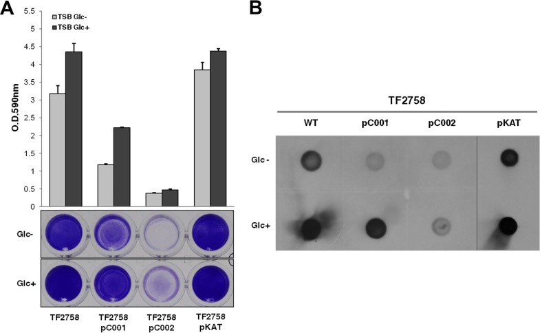 FIG 3 