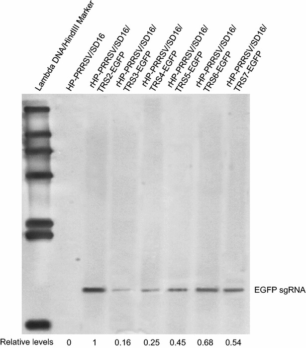 Figure 4