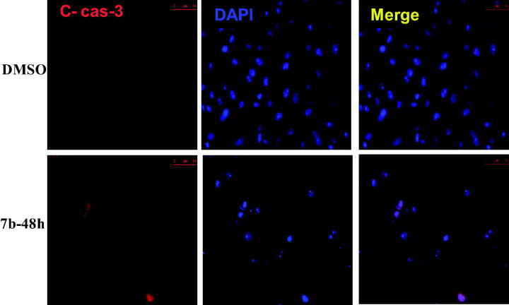 Figure 12.