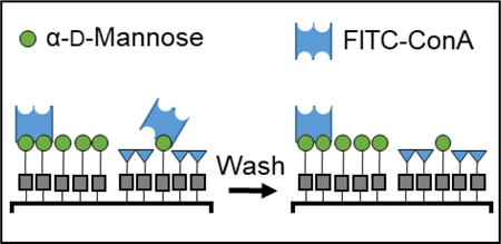 graphic file with name nihms-1044349-f0004.jpg