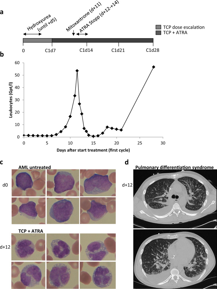 Fig. 4