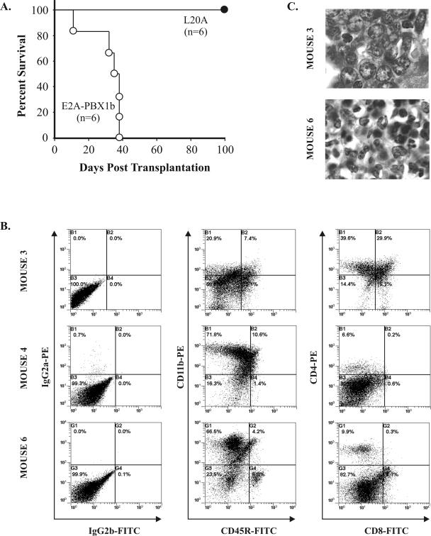 FIG. 4.