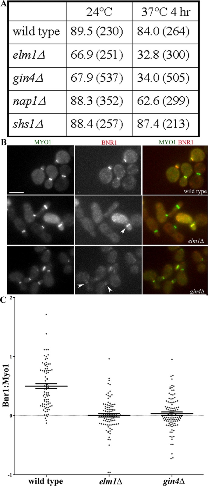 FIGURE 1: