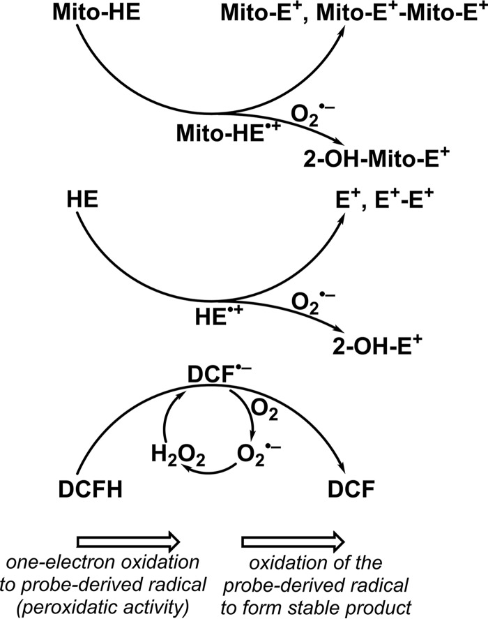 Figure 8.