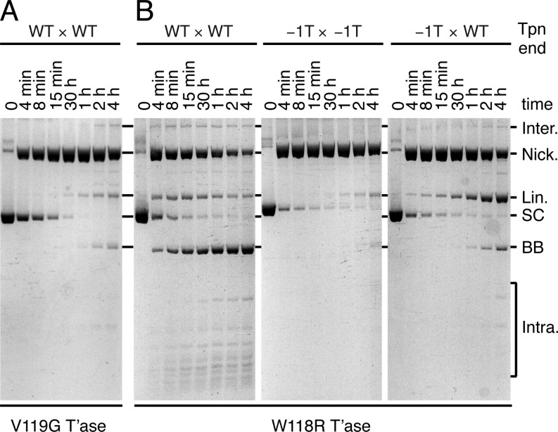 Figure 6.