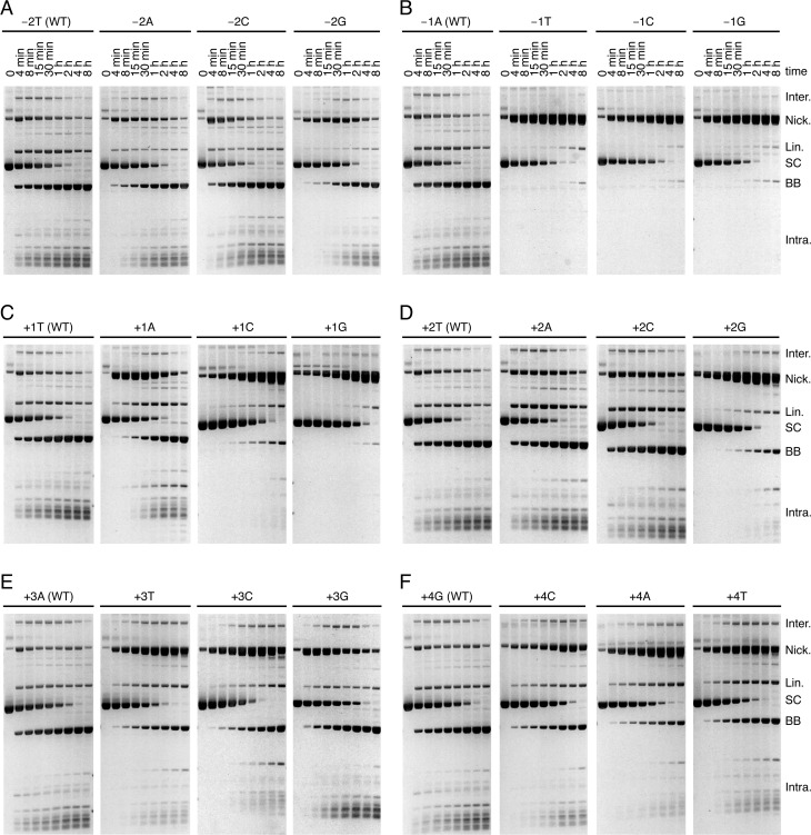 Figure 4.