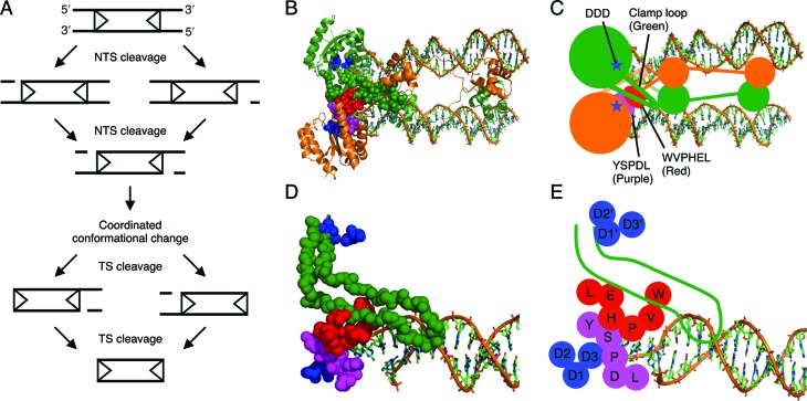 Figure 7.