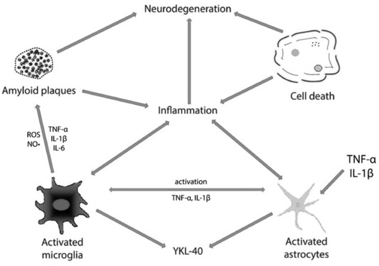 Fig. (1)