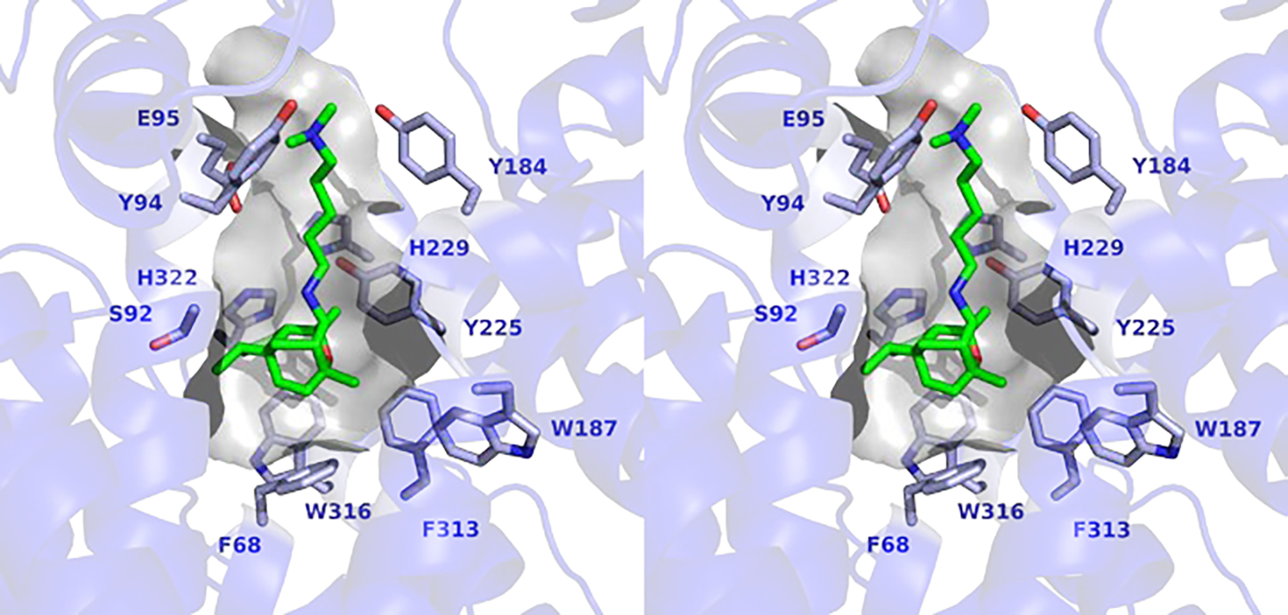 Figure 5.