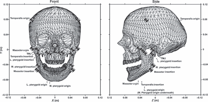 Fig. 8