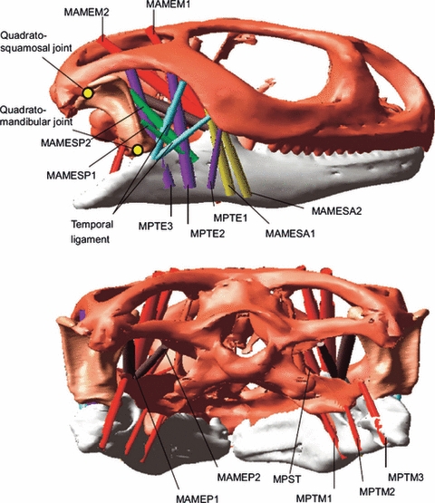 Fig. 7