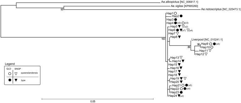 Fig 2