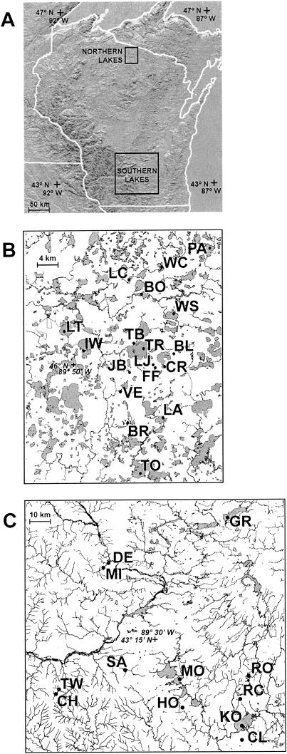 FIG.1.