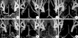 Fig. 7