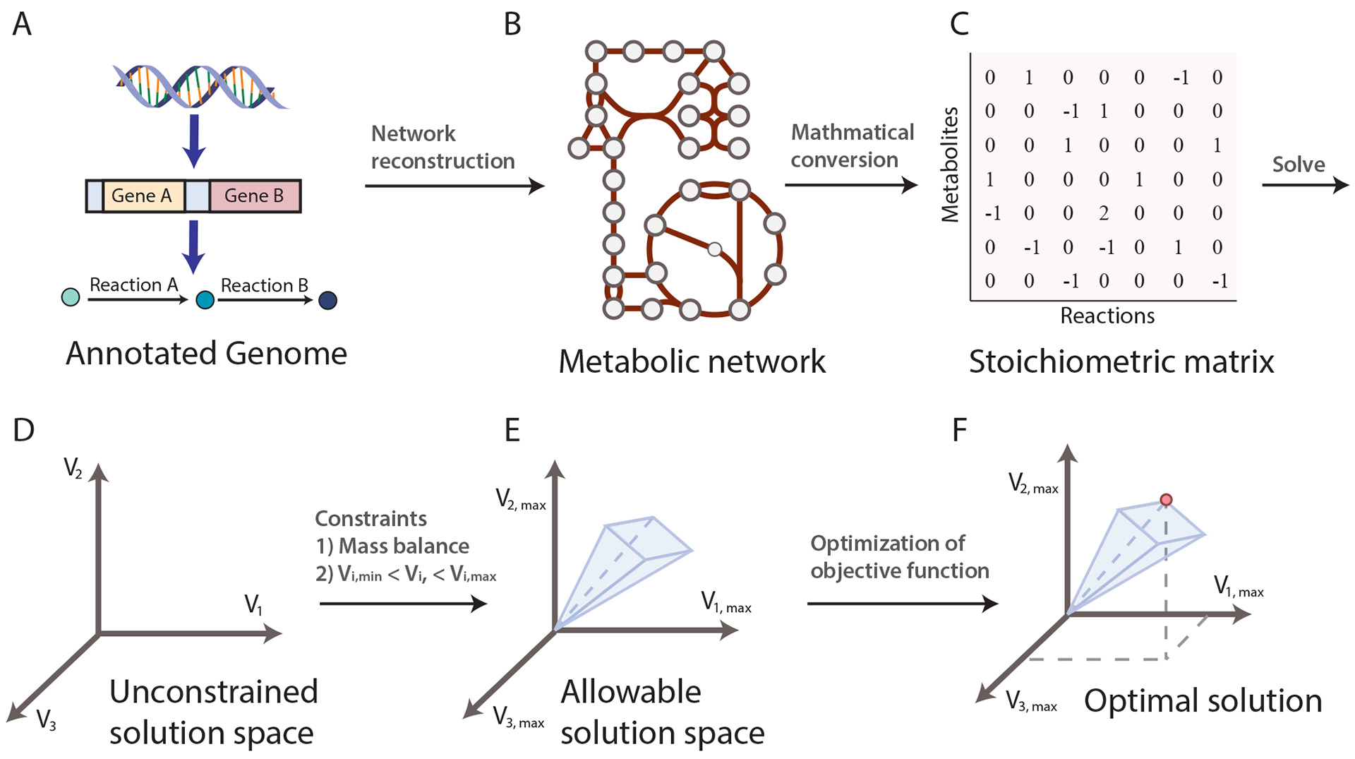 Figure 1: